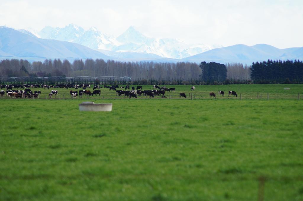 Taylors Motel Ashburton Esterno foto